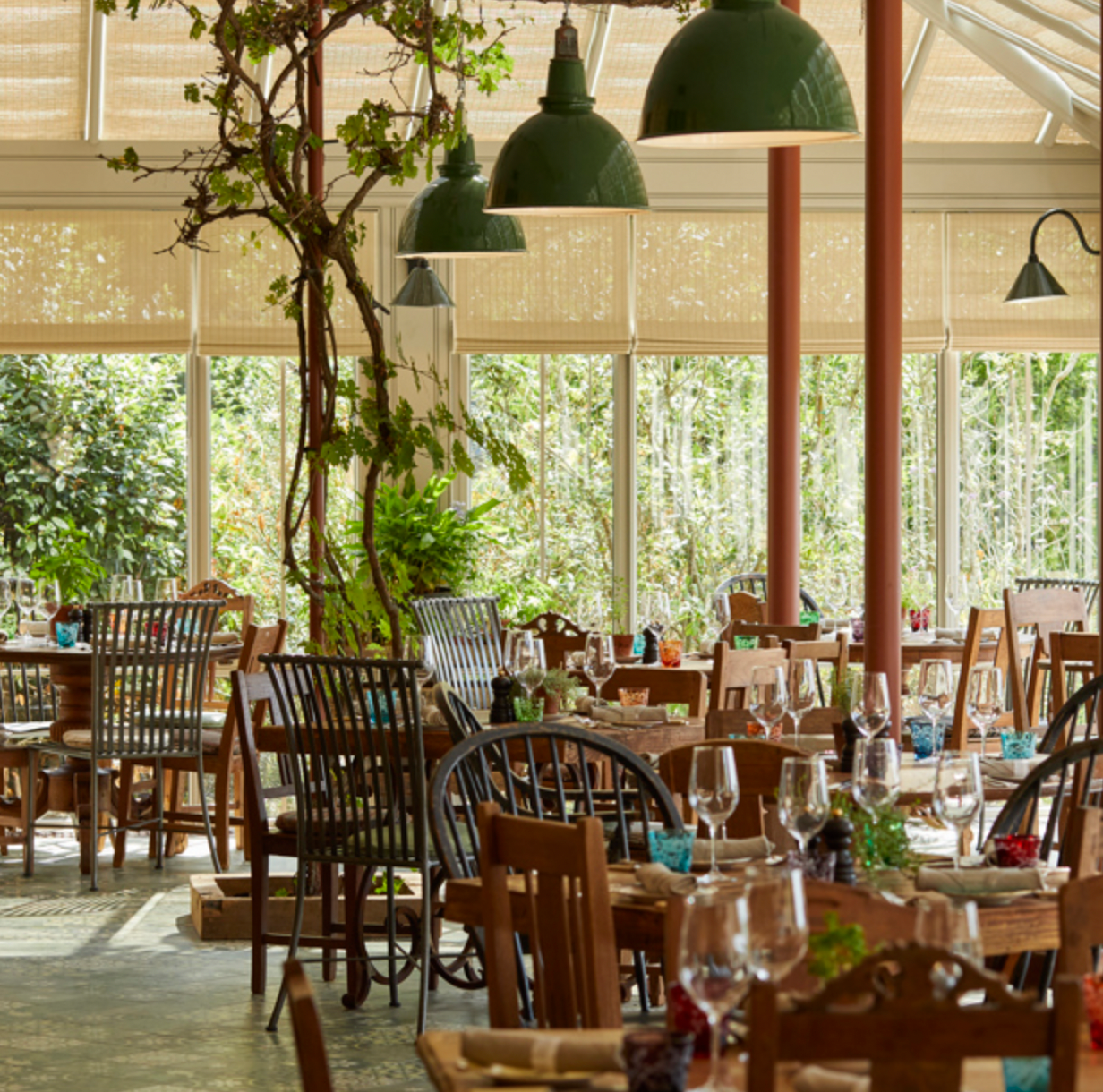 Local Places to Stay