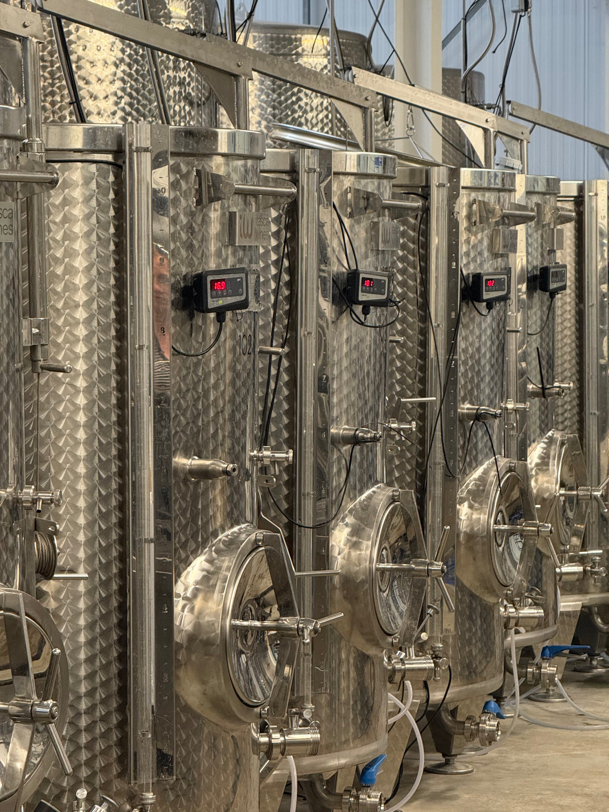 Summer Winery Tour
