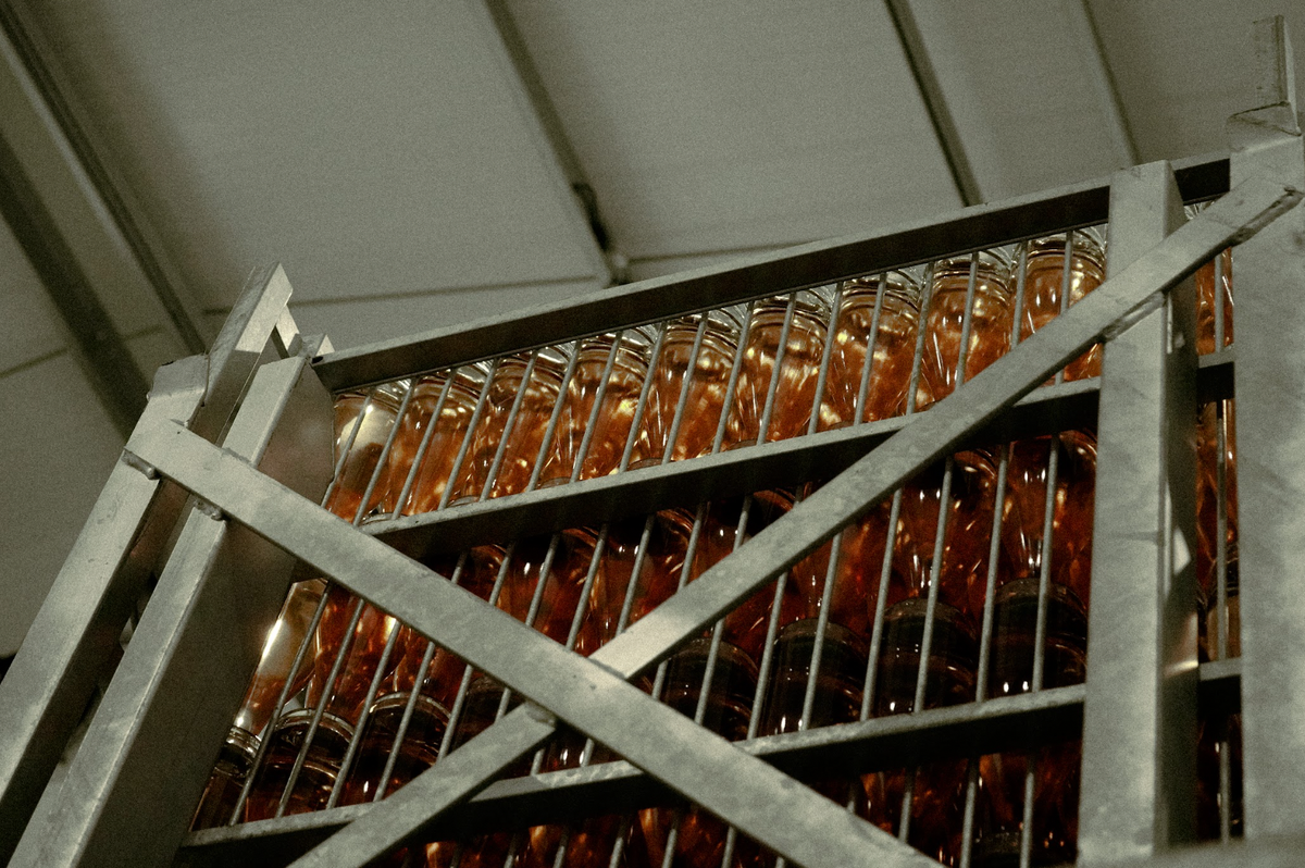 Winter Winery Tours